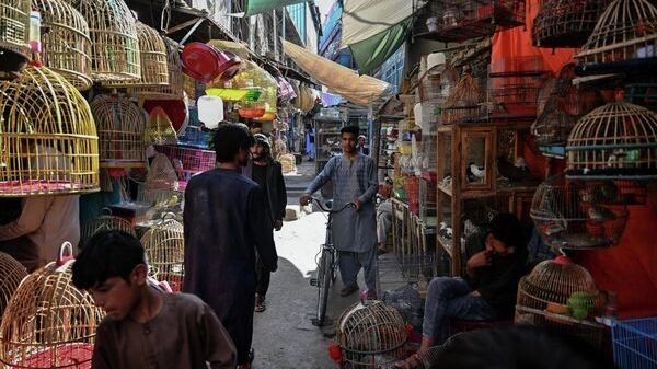 Птичий рынок Ка&nbsp;Фароши в&nbsp;Кабуле
