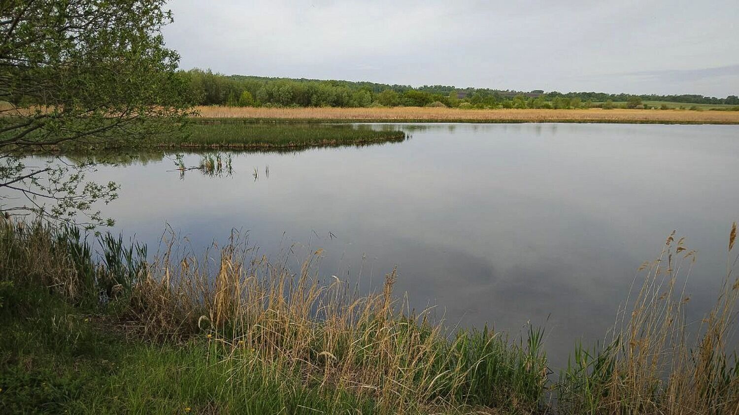 На фото: берег реки вечером