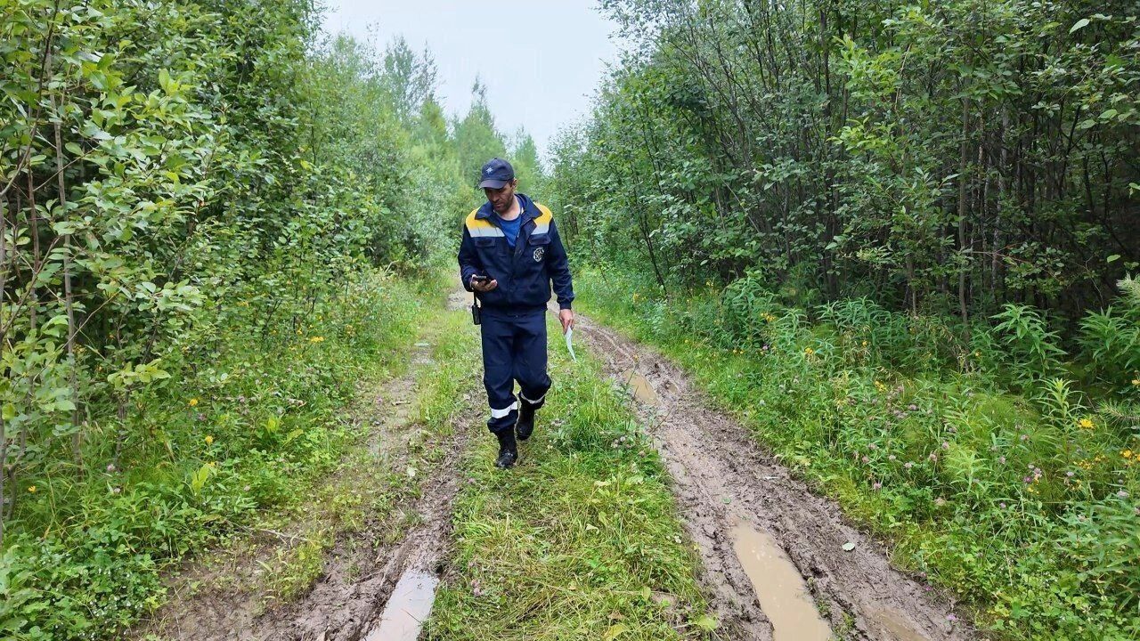 Подобный случай далеко не единственный — с начала года в Нягани и Октябрьском районе зафиксировано уже шесть подобных происшествий.