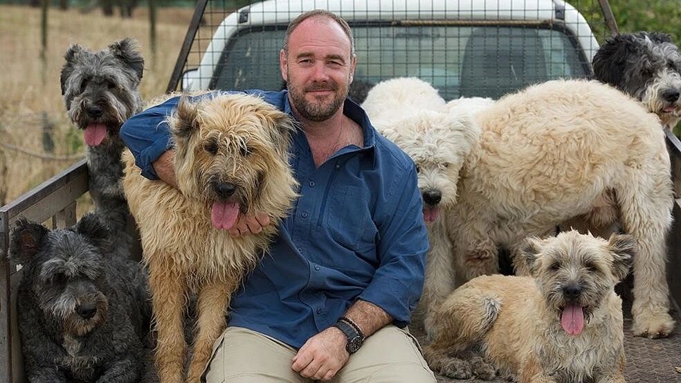 Собачьи законы. Как дело «писающего пса» раскололо москвичей на два лагеря