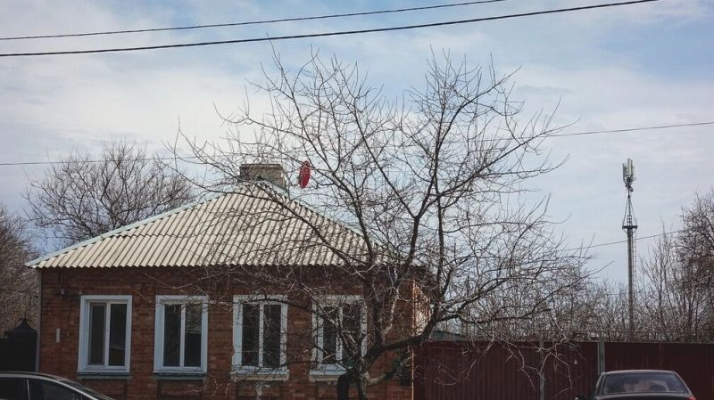 Интернеттегі вампирден минет Жалаңаш ауыл қыздарының суреттері