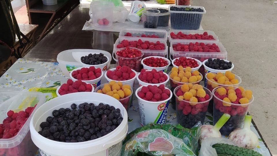 В центре Перми случился скандал между «перекупами» и настоящими огородниками