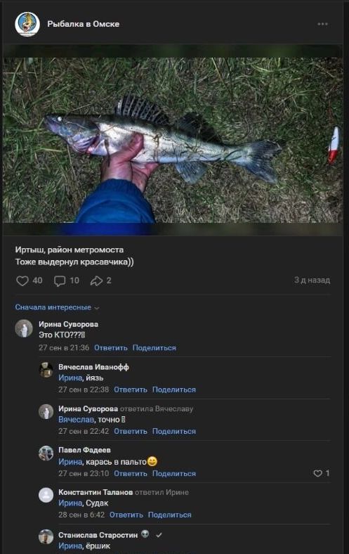 Скриншот публикации с фото "речного монстра", добытого у Метромоста