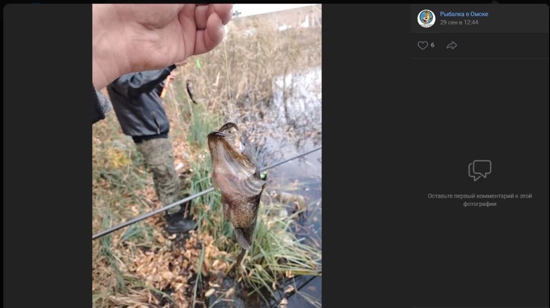 Скриншоты "результатов" рыбной ловли на небольшом водоеме в Ленинском округе Омска