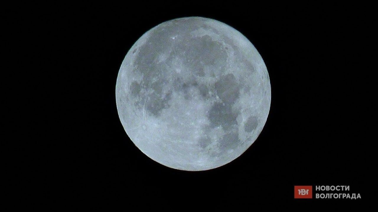 Бобровая луна взойдет над Волгоградом в ночь на 6 ноября