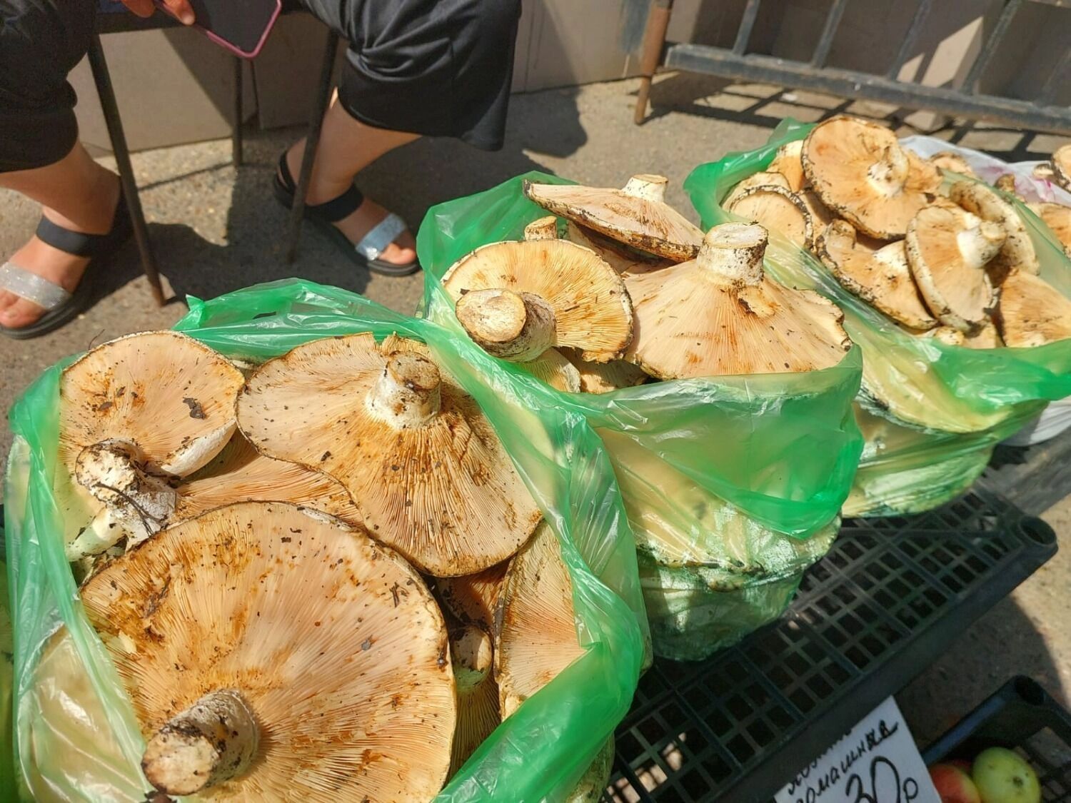 Грибы на рынке Оренбурга