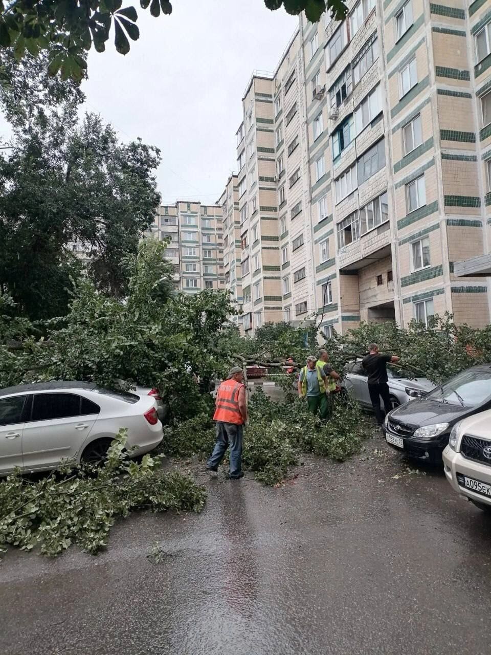 Устранение последствий непогоды в&nbsp;Белгороде