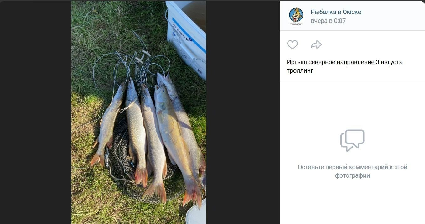 Щук ловят и в северном направлении