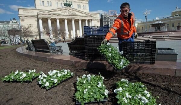 Посадка однолетников перед Большим театром