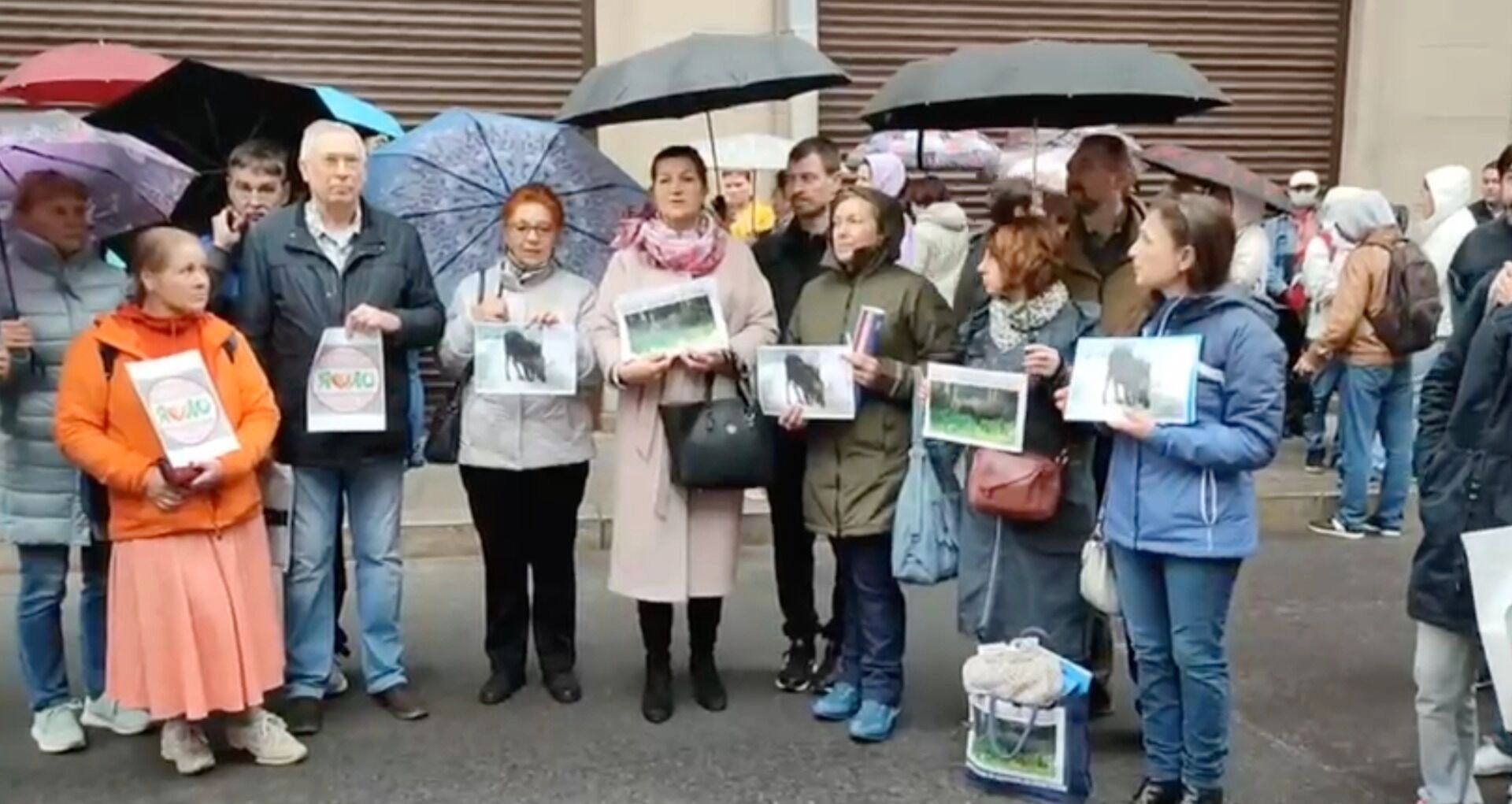 Большая стройка: москвичей лишают леса, они жалуются Путину на Собянина