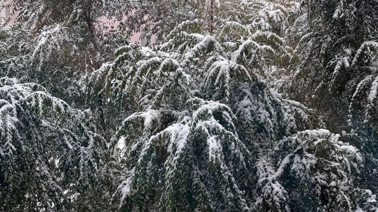 Показываем, как выглядят омские улицы под покровом первого снега