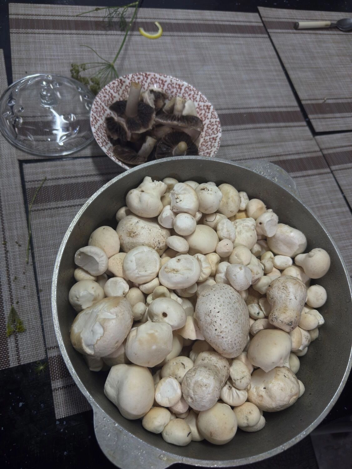 Оренбуржцы показали, какие грибы собрали в лесах в августе