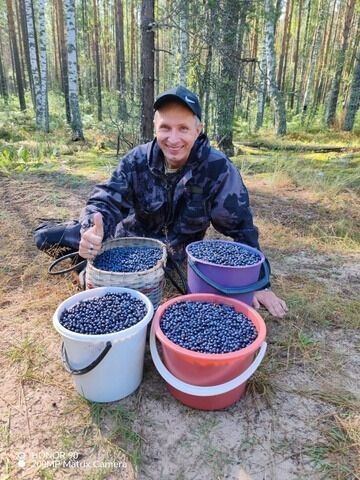 Нижегородец набрал кучу черники