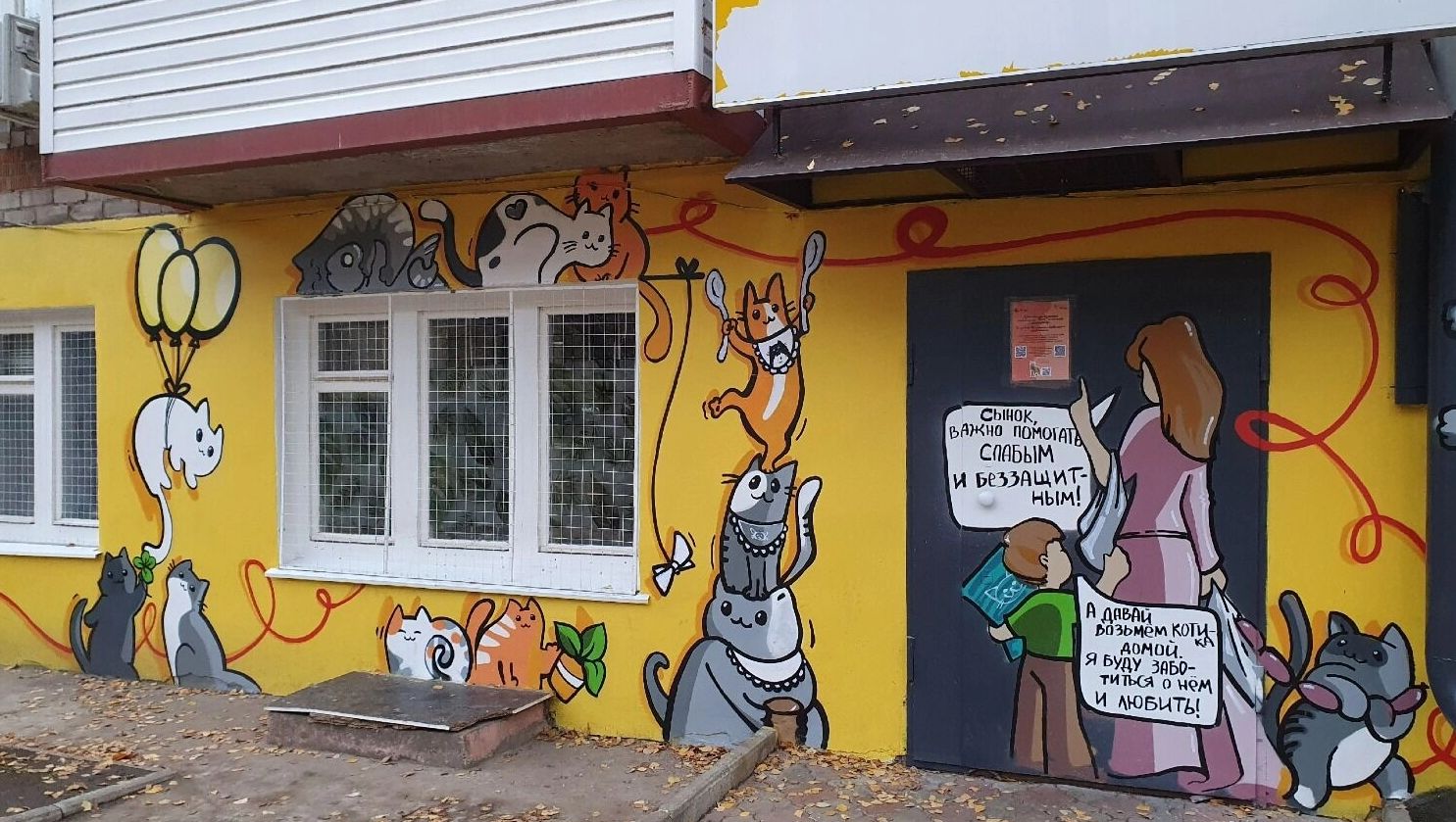 Приют для кошек «Котофонд» в Ижевске