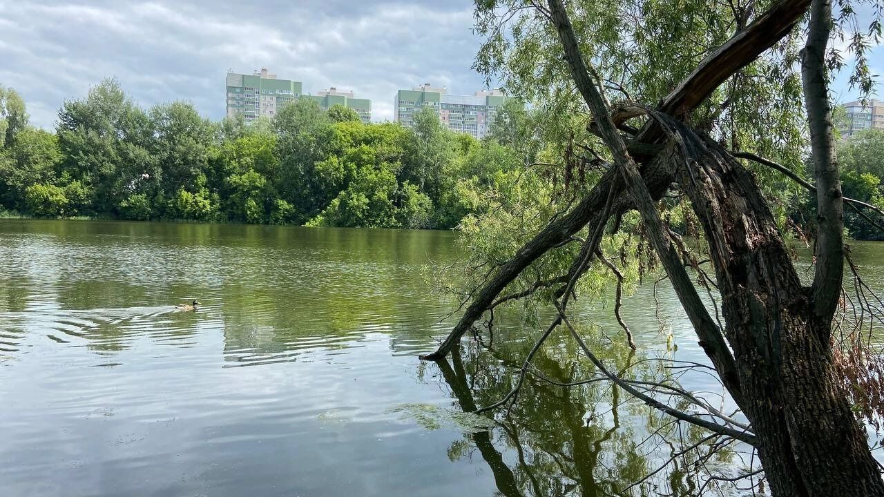 Вдоль воды практически каждые 30-50 метров можно встретить кострища.