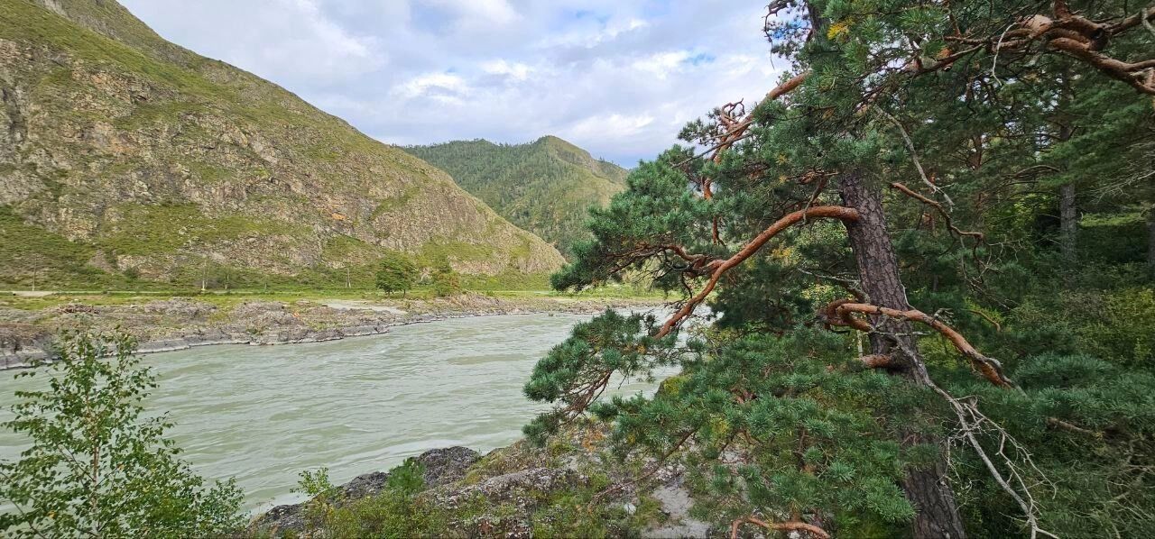 Александр Рашко с&nbsp;семьей на&nbsp;Алтае летом и&nbsp;зимой