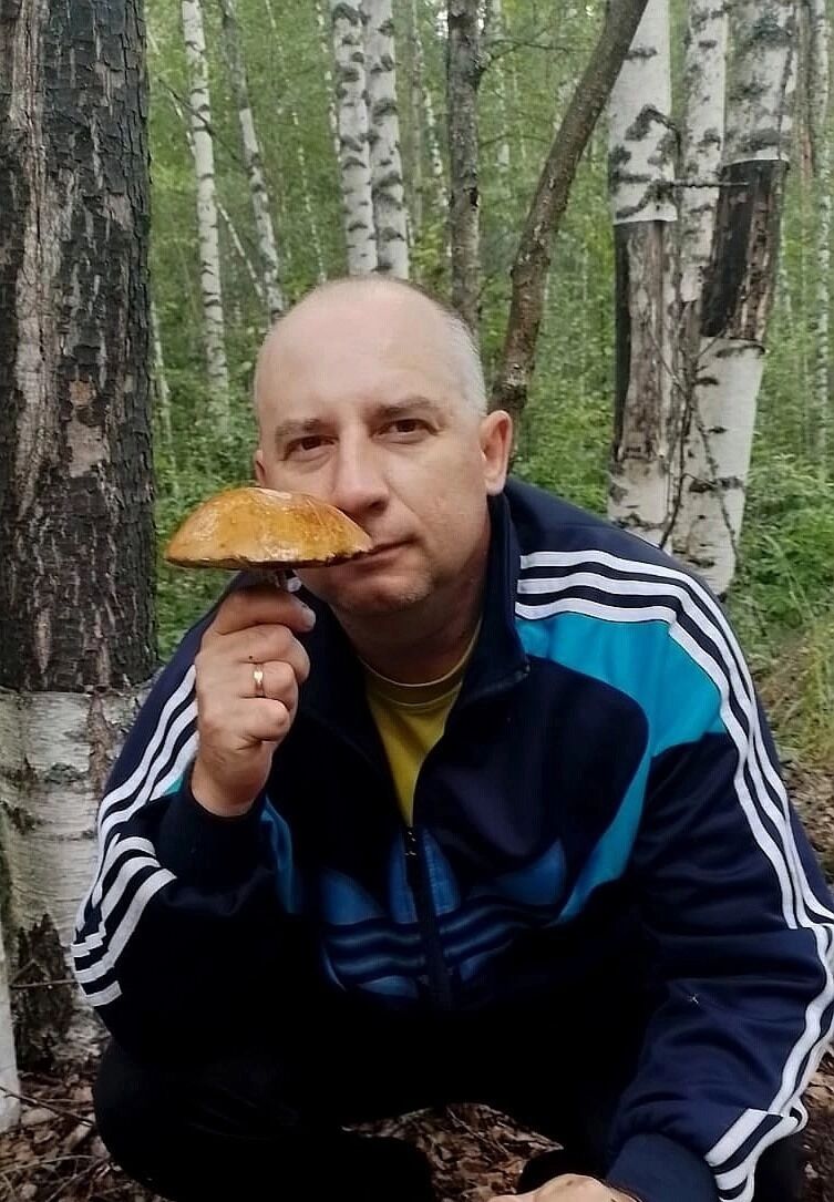 Подосиновик в Кулебакском округке