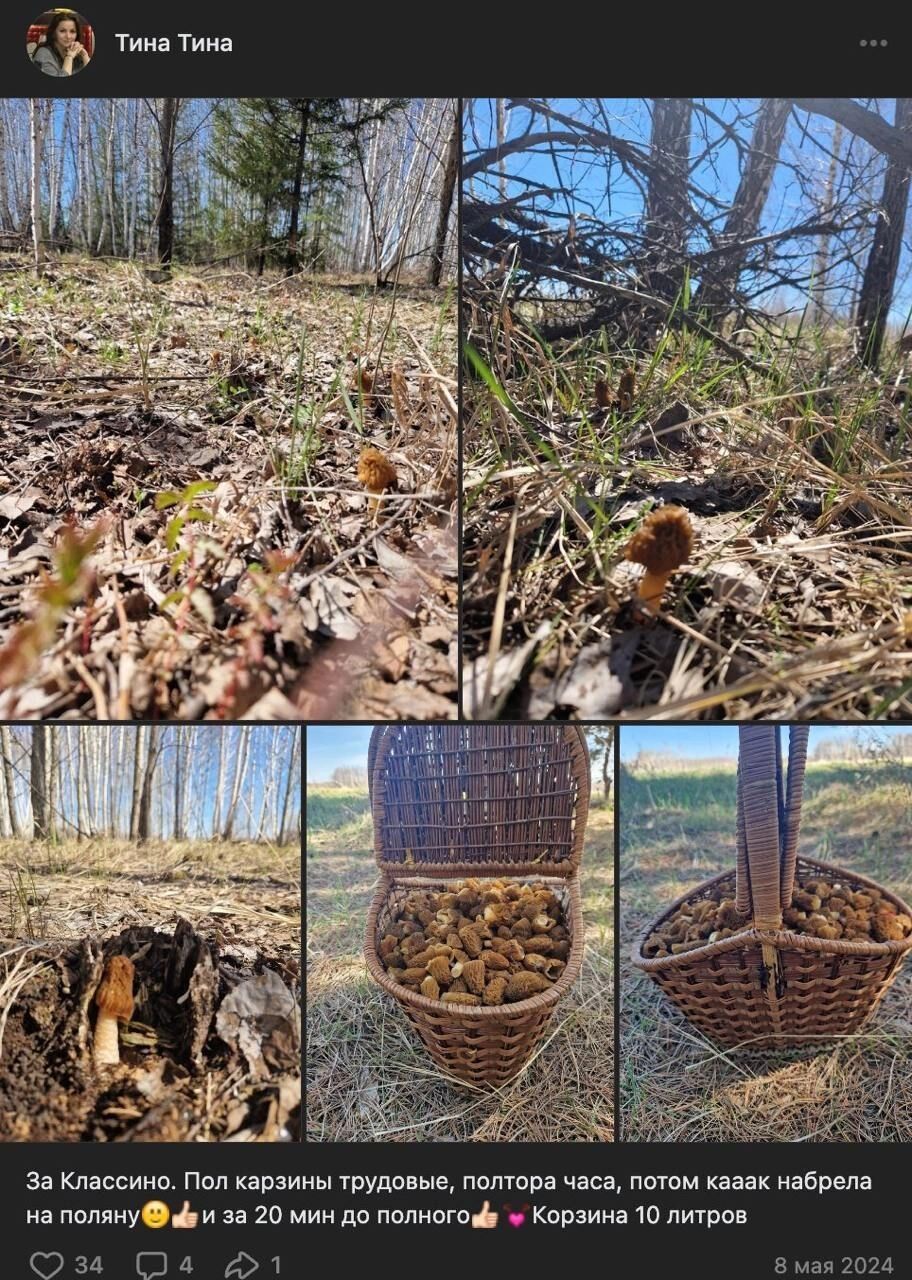 8 мая собрали корзину на 10 литров