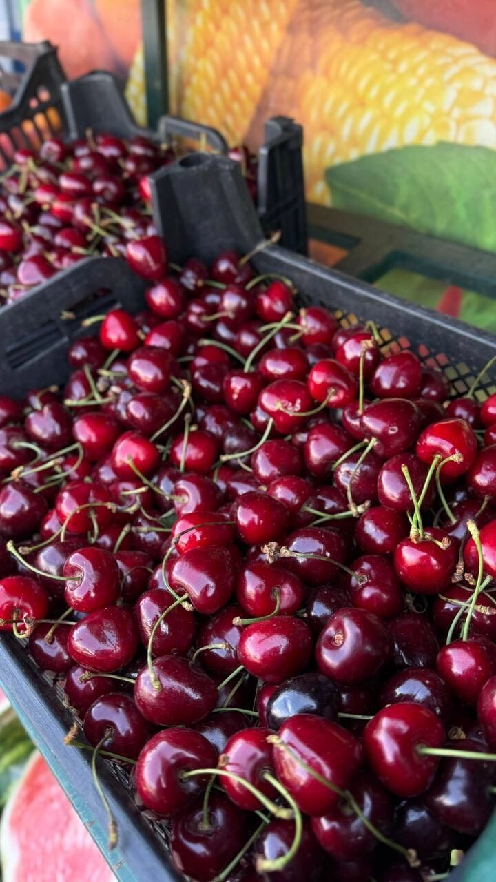 Эта черешня продается на&nbsp;рынке «Енисейский привоз»