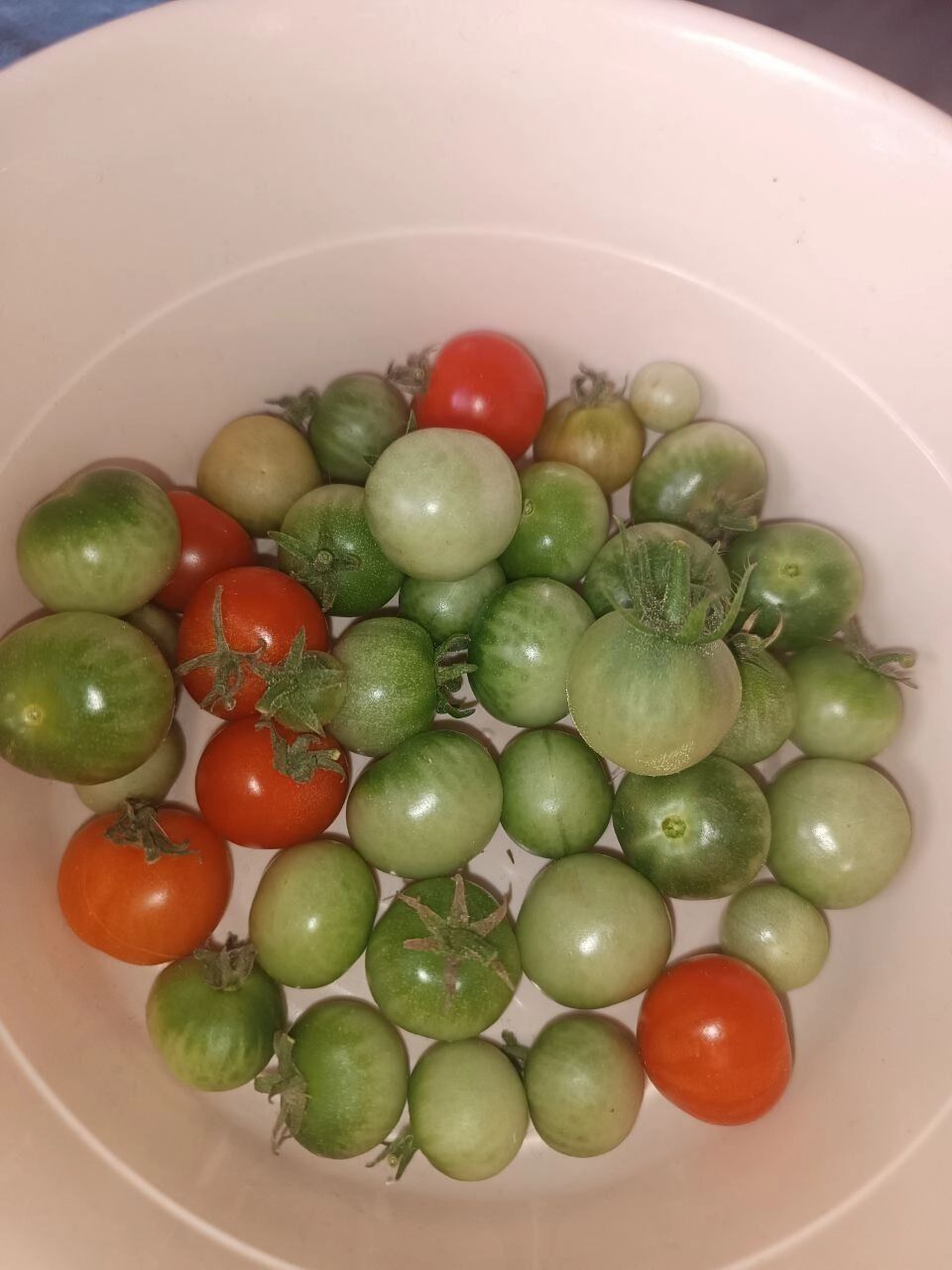 Урожай, который собрала в&nbsp;2024&nbsp;году