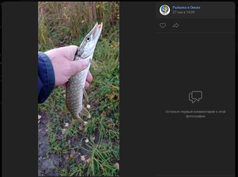 Скриншоты улова, добытого на омских затонах РЭБ, "Мясухе" и "Восьмерке" 