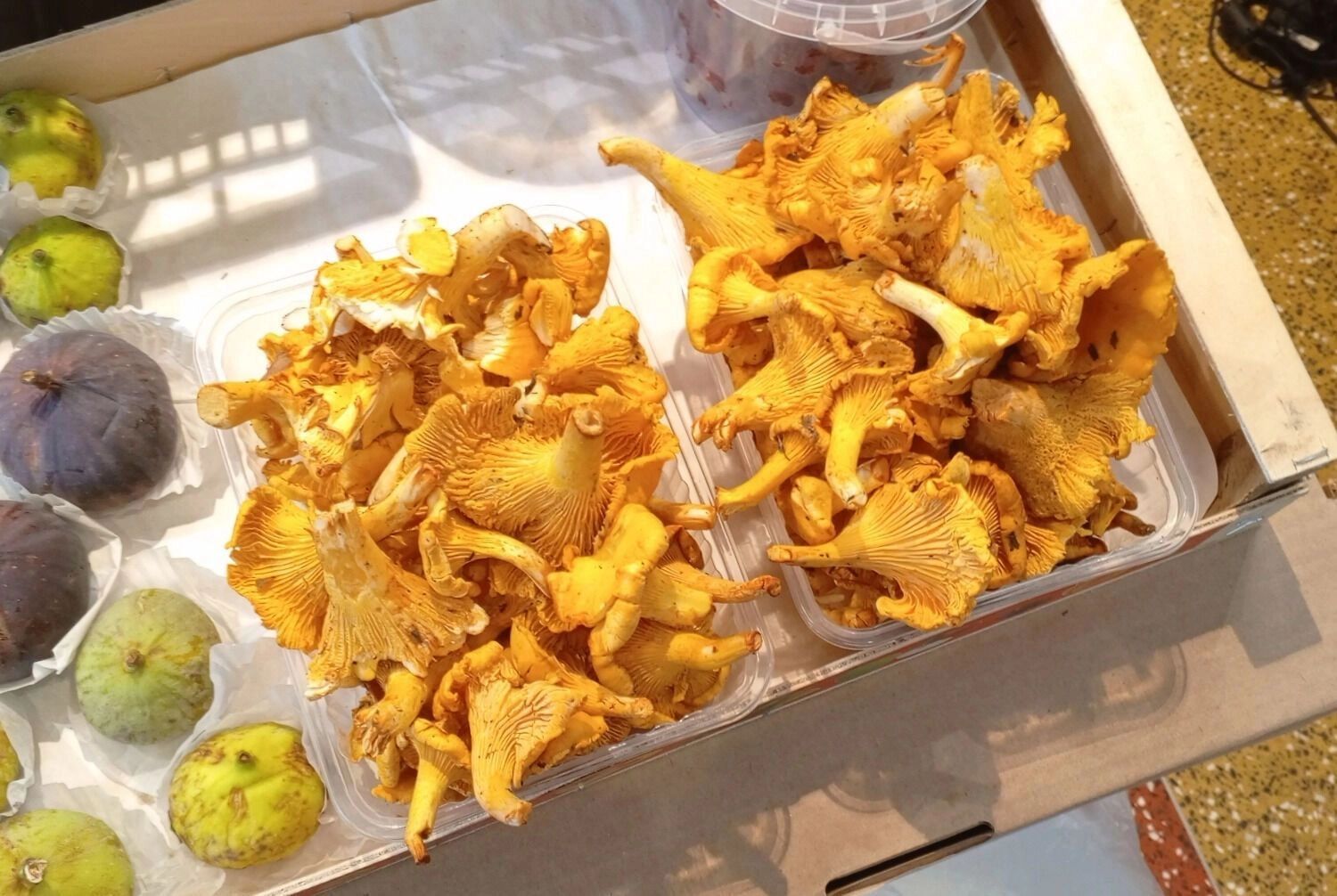 Лисички долго хранятся