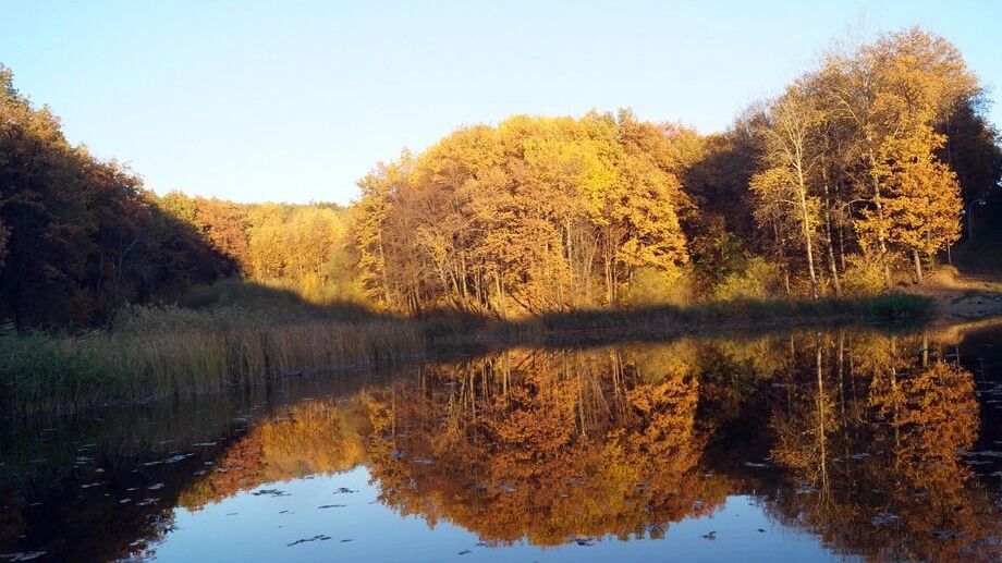 Погода в Казани осенью
