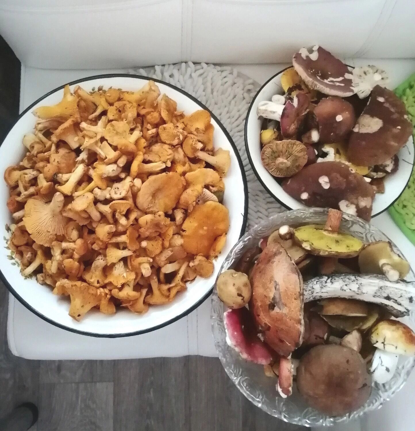 Рыжики и волнушки