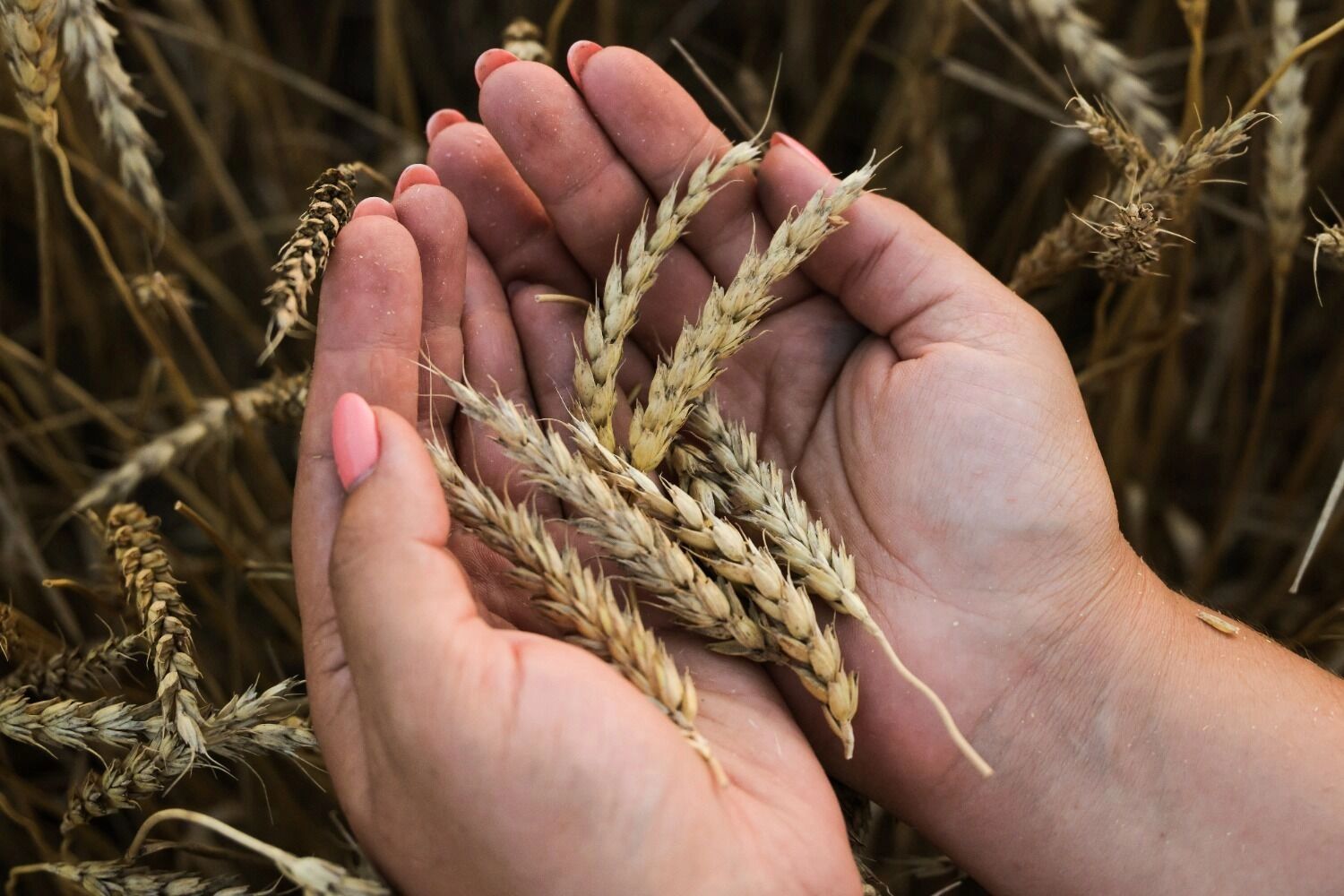 В Ростовской области вместо запланированного профицита получили «дыру» в бюджете