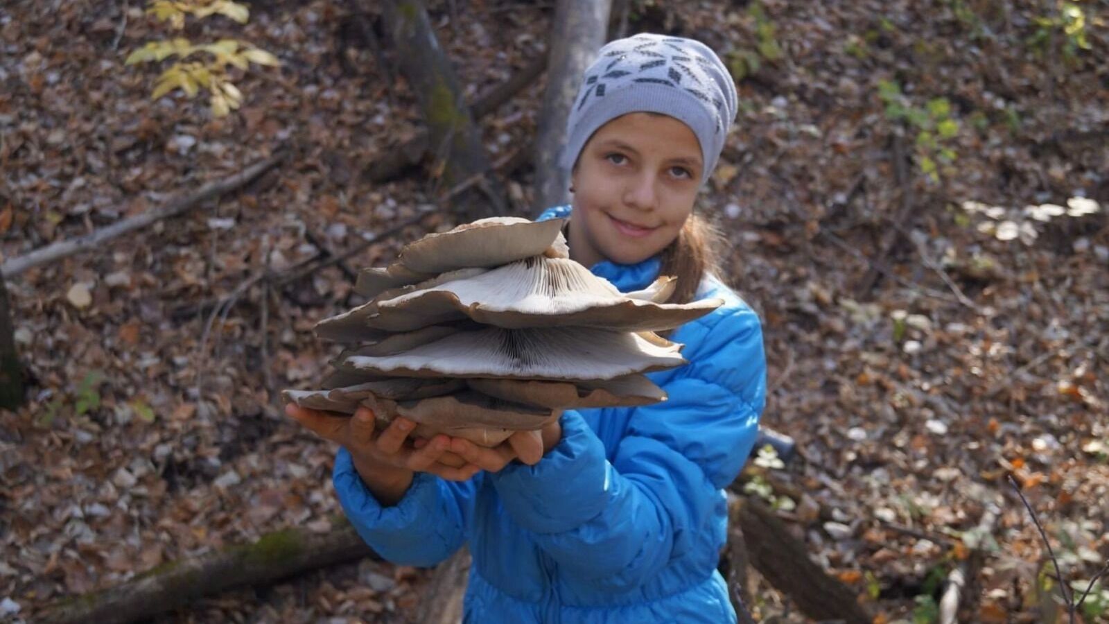 Какие грибы в Оренбуржье можно собирать до морозов