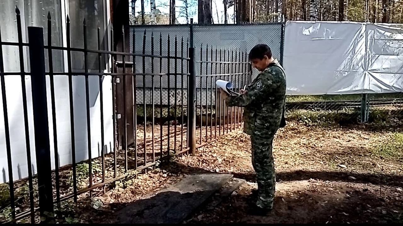 фото убитых девушек После жуткой гибели девушки возле бара в Перми СК возбудил дело об убийстве  — Новости Перми и Пермского края - Properm