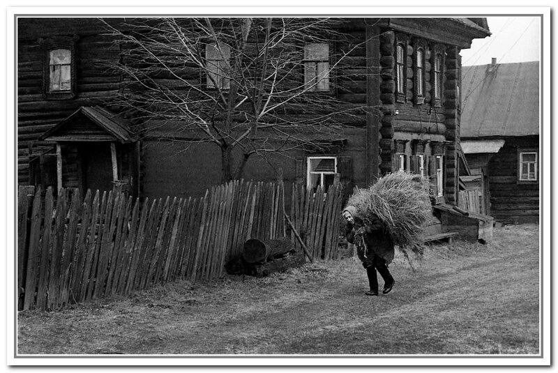 Фотографии Николая Осоки похожи на живописные произведения