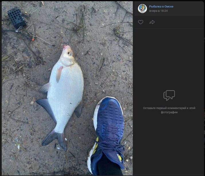 Скриншот фотографии улова, добытого на берегах Омска