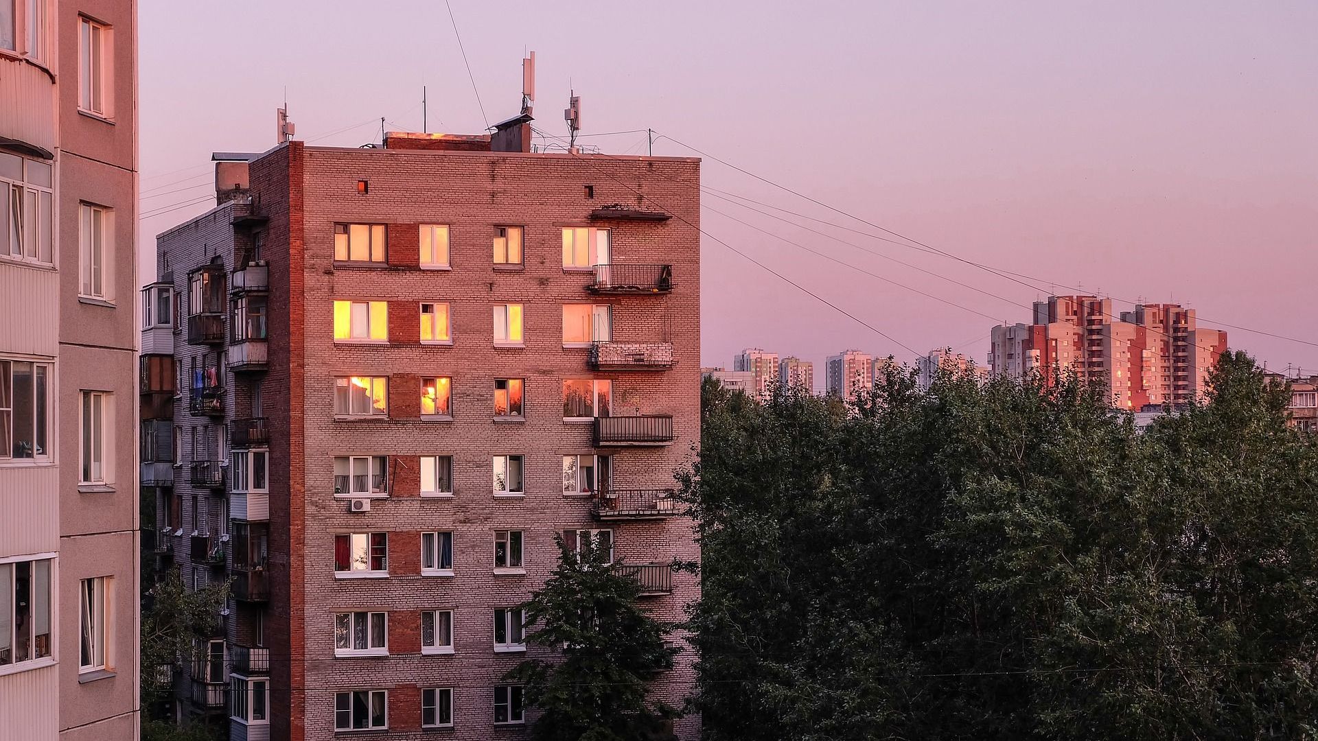Выяснилось, в каком районе Петербурга продается самая дешевая квартира у парка