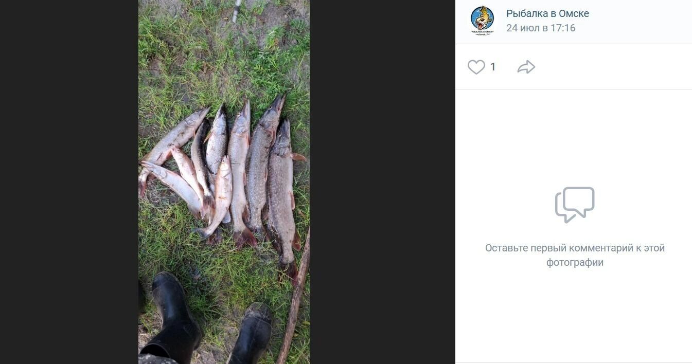 Щуки активно клюют в Усть-Ишимском районе Омской области