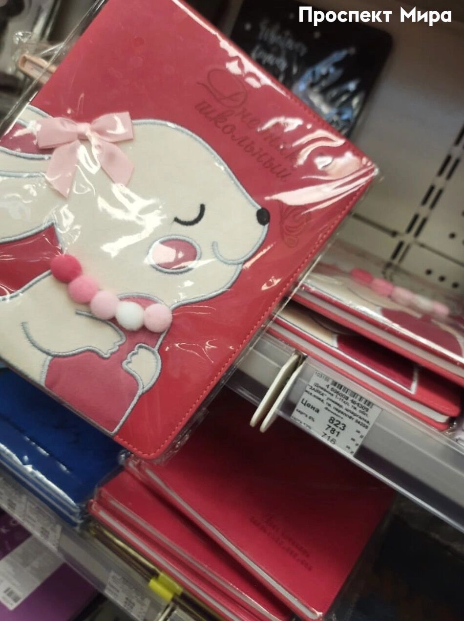 Необычные дневники в магазине «Пиши, рисуй»