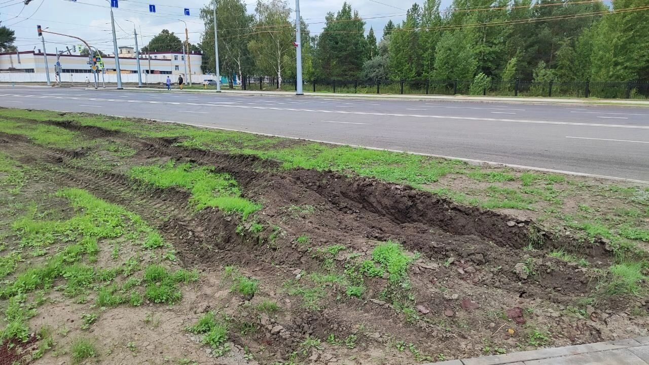 Неидеальный газон на бульваре Архитекторов
