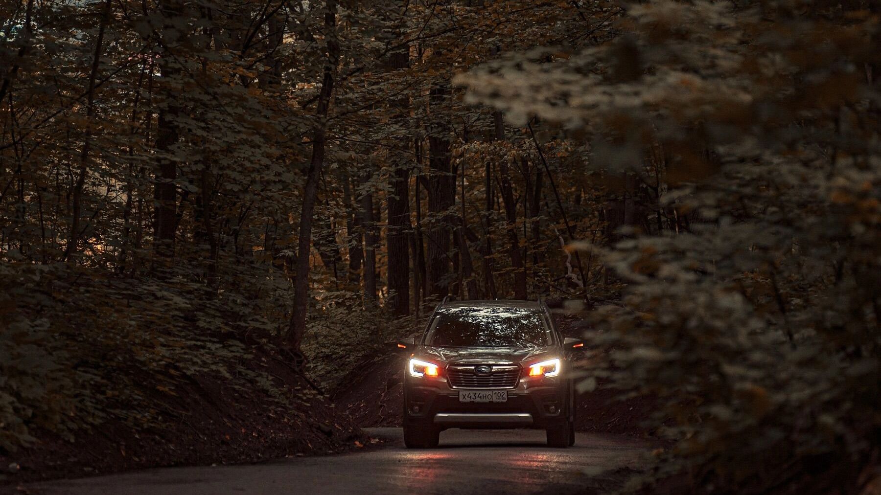 В Волгограде раскрыли дело о похищении участника СВО