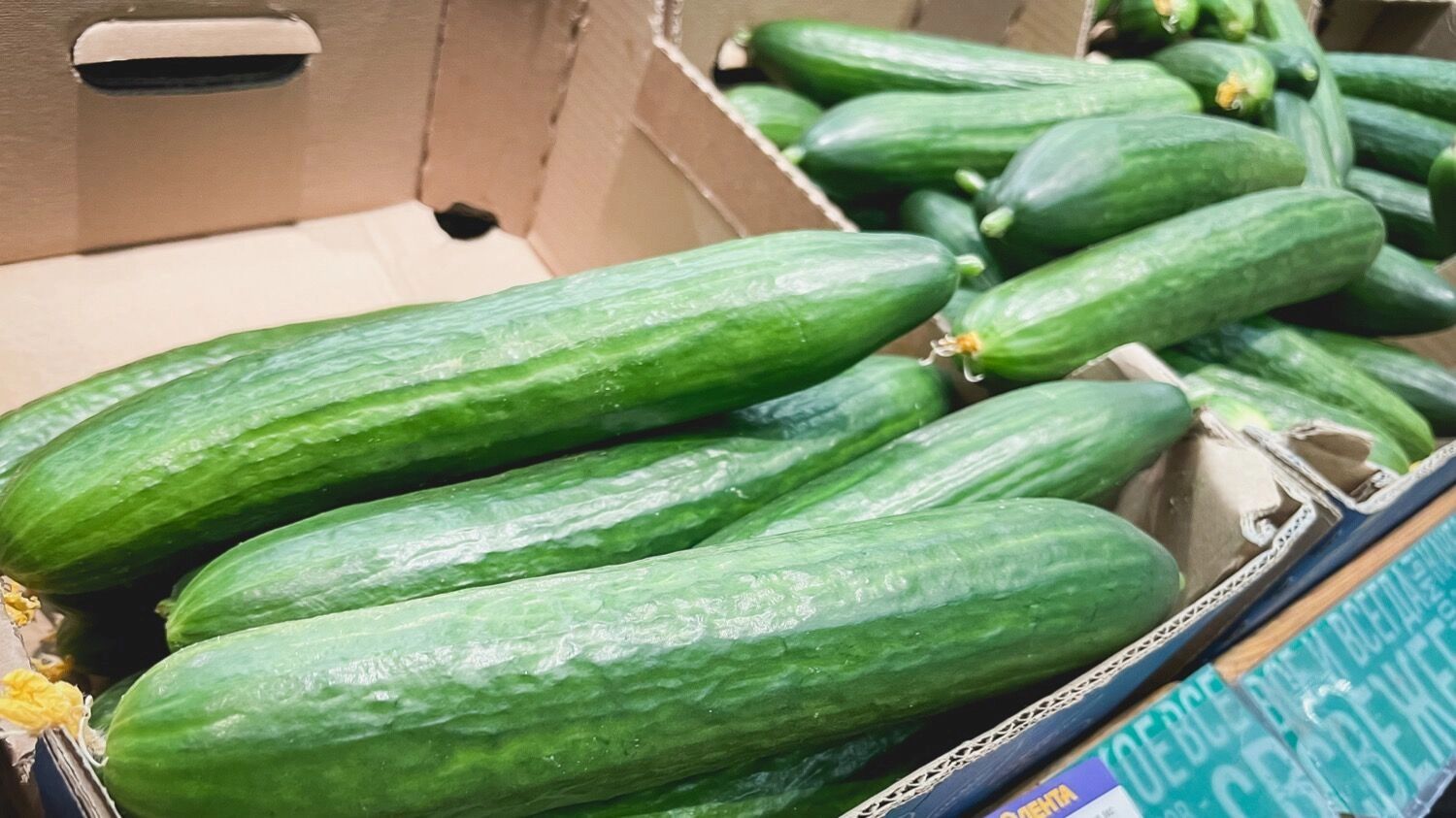 По мнению статистов, наибольший вклад в продуктовую инфляцию несколько месяцев вносили огурцы и томаты