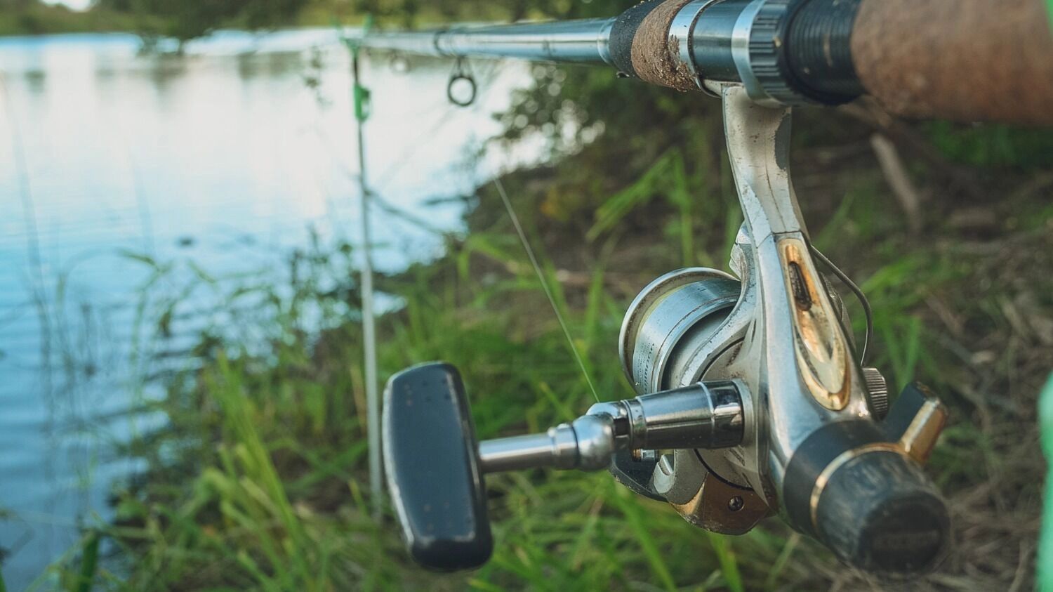 На&nbsp;фото: удочка на&nbsp;берегу