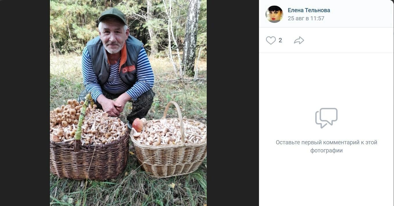 Опята, собранные в районе поселка Дачный