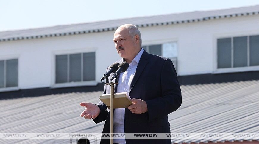 Вся уехала в Россию: Лукашенко возмутила миграция белорусской картошки