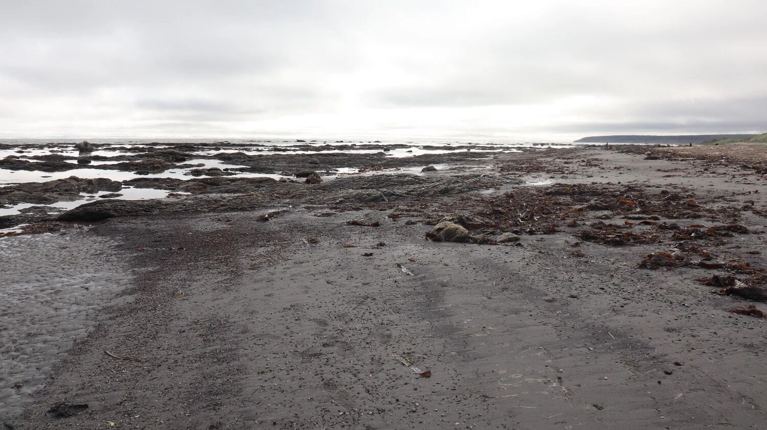 Восточное побережье Сахалина