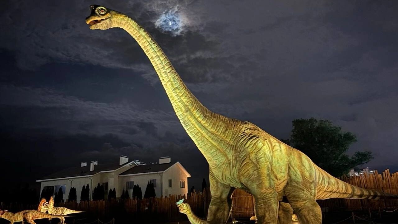 Динопарк появился в Волгограде