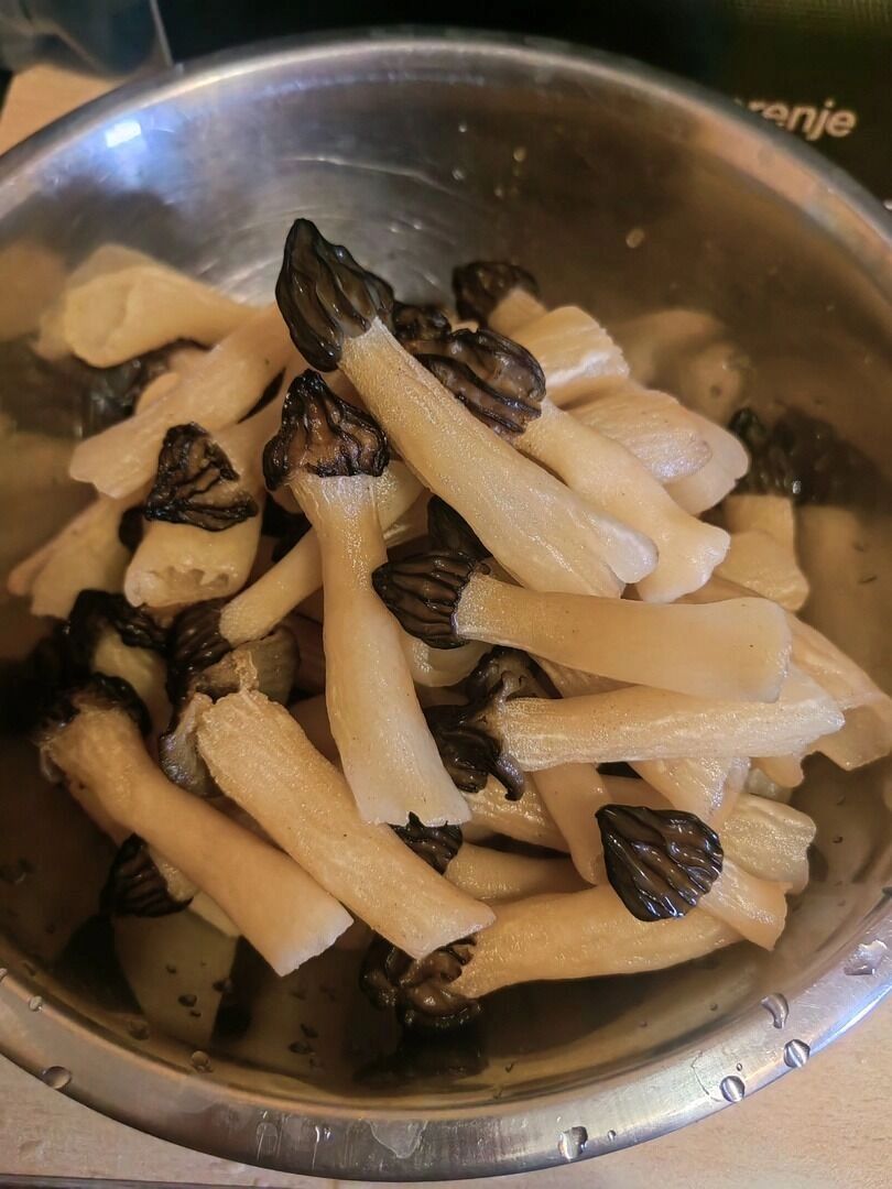 Строчки в Нижнем Новгороде