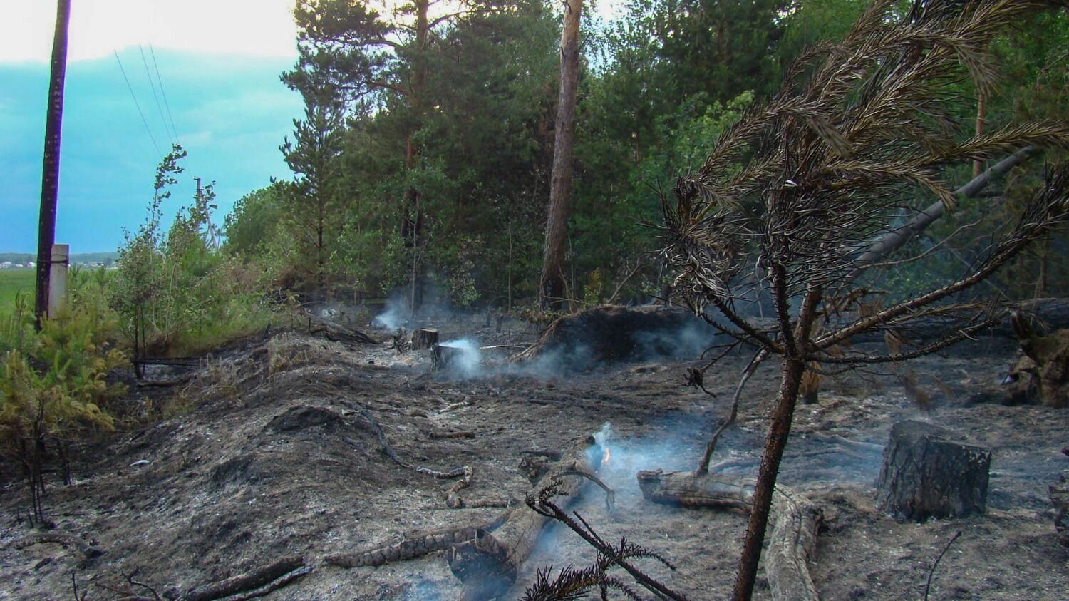Лесной пожар у деревни Пиголи в 2010 году