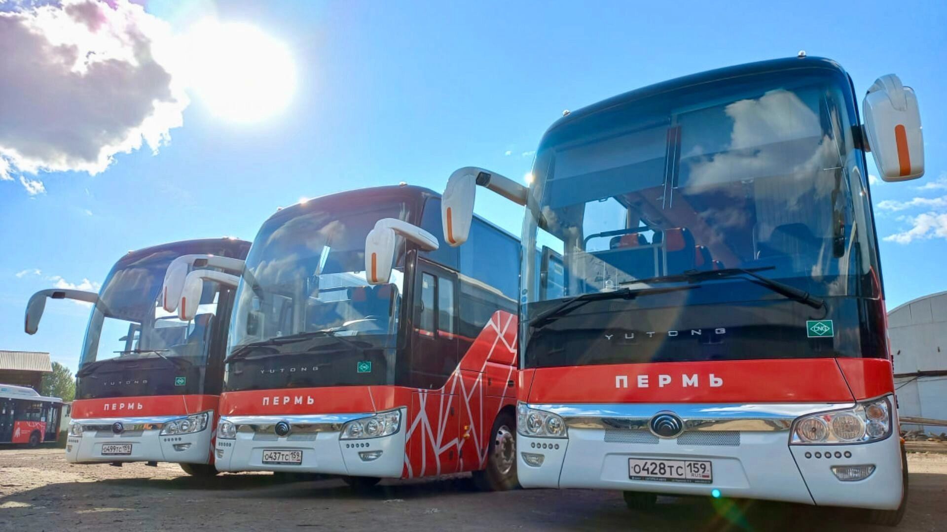 На популярном центральном пермском маршруте пустят автобус-гармошку
