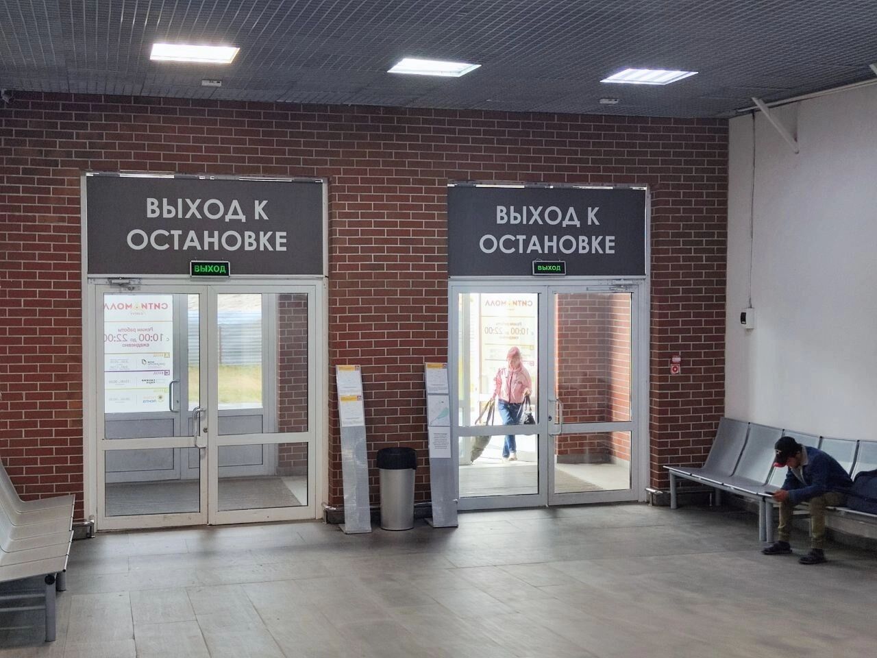 Автобуса с лисом я не дождалась