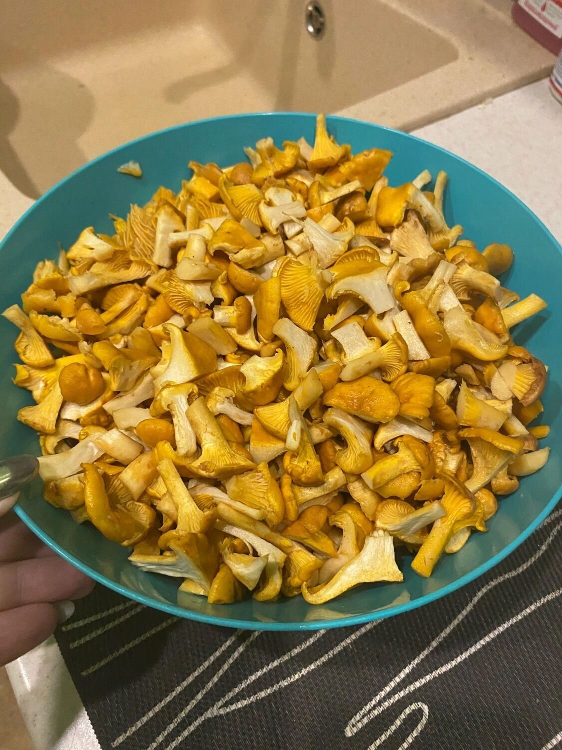 Лисички