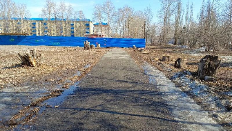 Сквер перед «Сатурном» сразу после вырубок, в апреле 2025 года